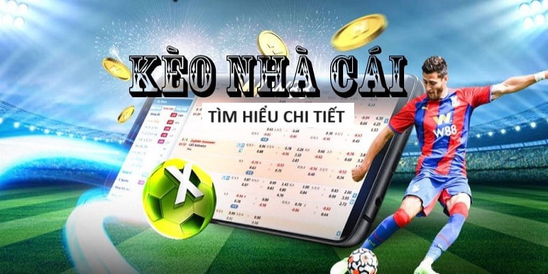 onebox63Win99 Những thông tin cần biết khi chơi xổ số miền Bắc onebox63Win99 Những thông tin cần biết khi chơi xổ số miền Bắc